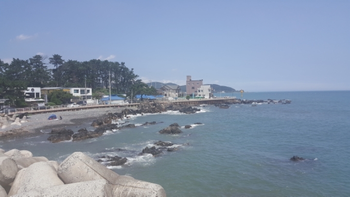 머리띵 이미지