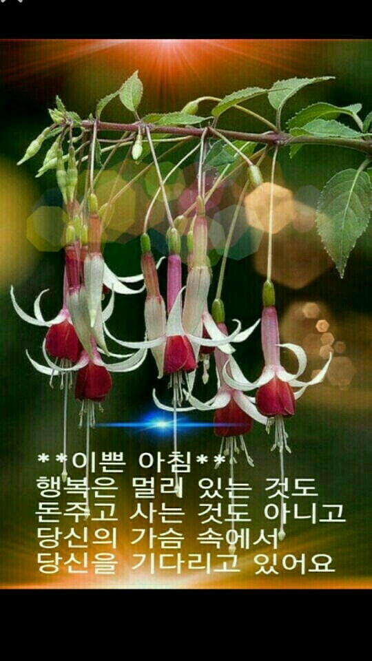 행복한 아침 이미지