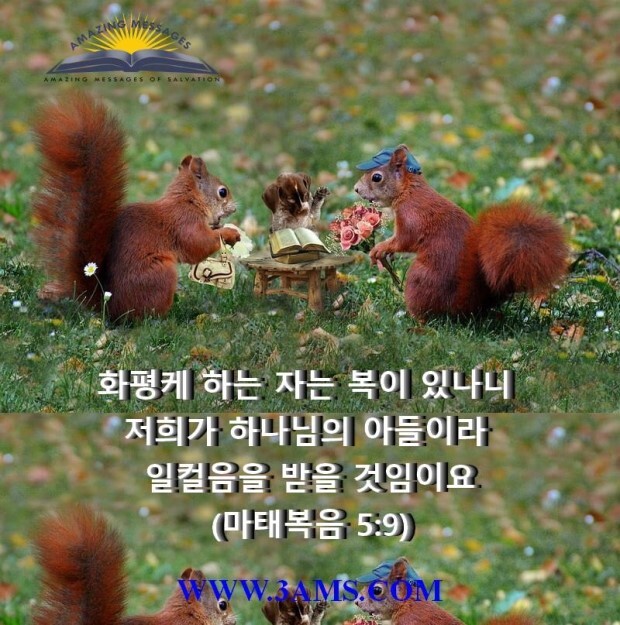 화평 이미지