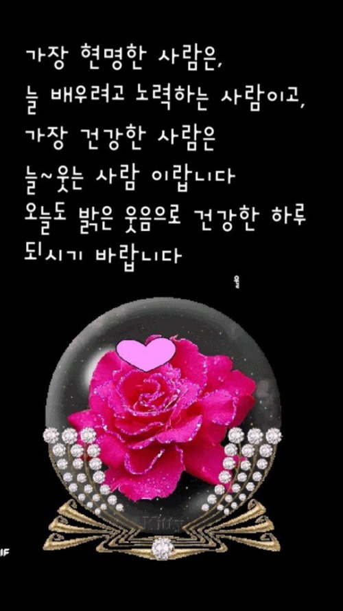 건강한하루 이미지