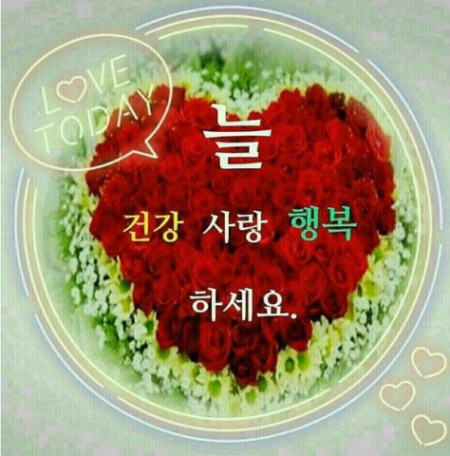 고운정 이미지