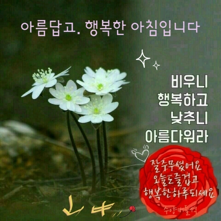 행복한 아침 이미지