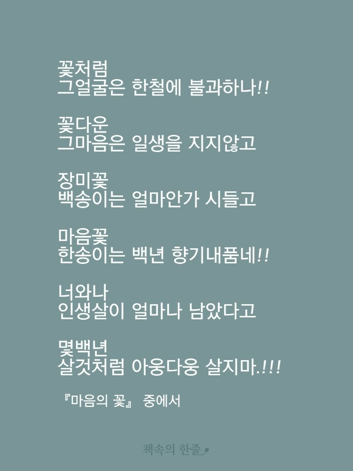마음의꽃 이미지