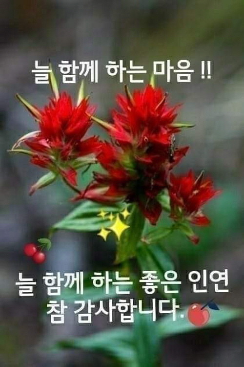 멋진하루 이미지