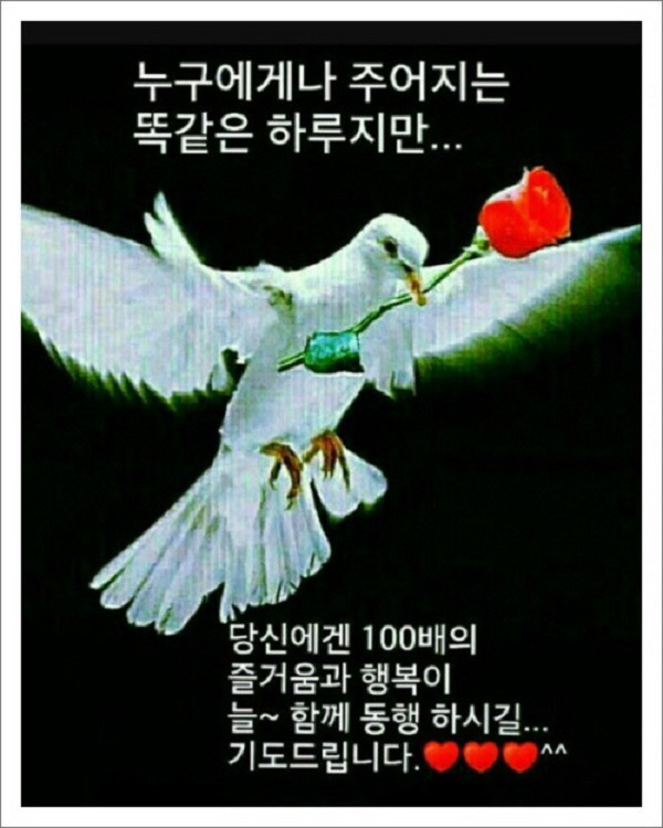 늘처음처럼 이미지