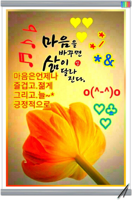 늘처음처럼 이미지
