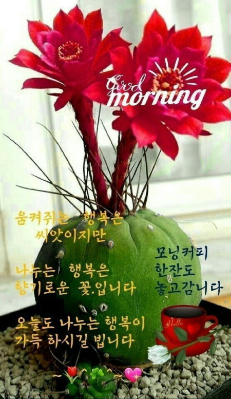 기분좋은하루 이미지