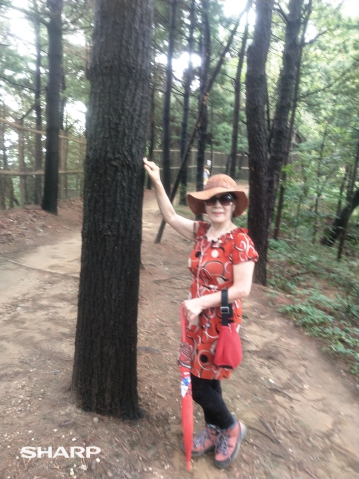 구룡산 정상 이미지
