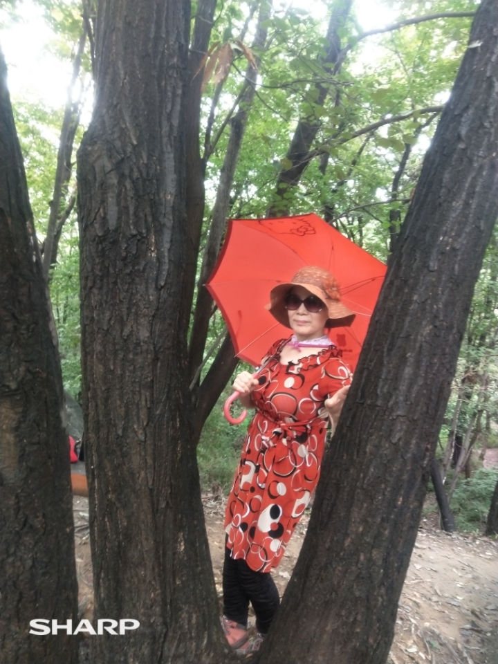구룡산 정상 이미지