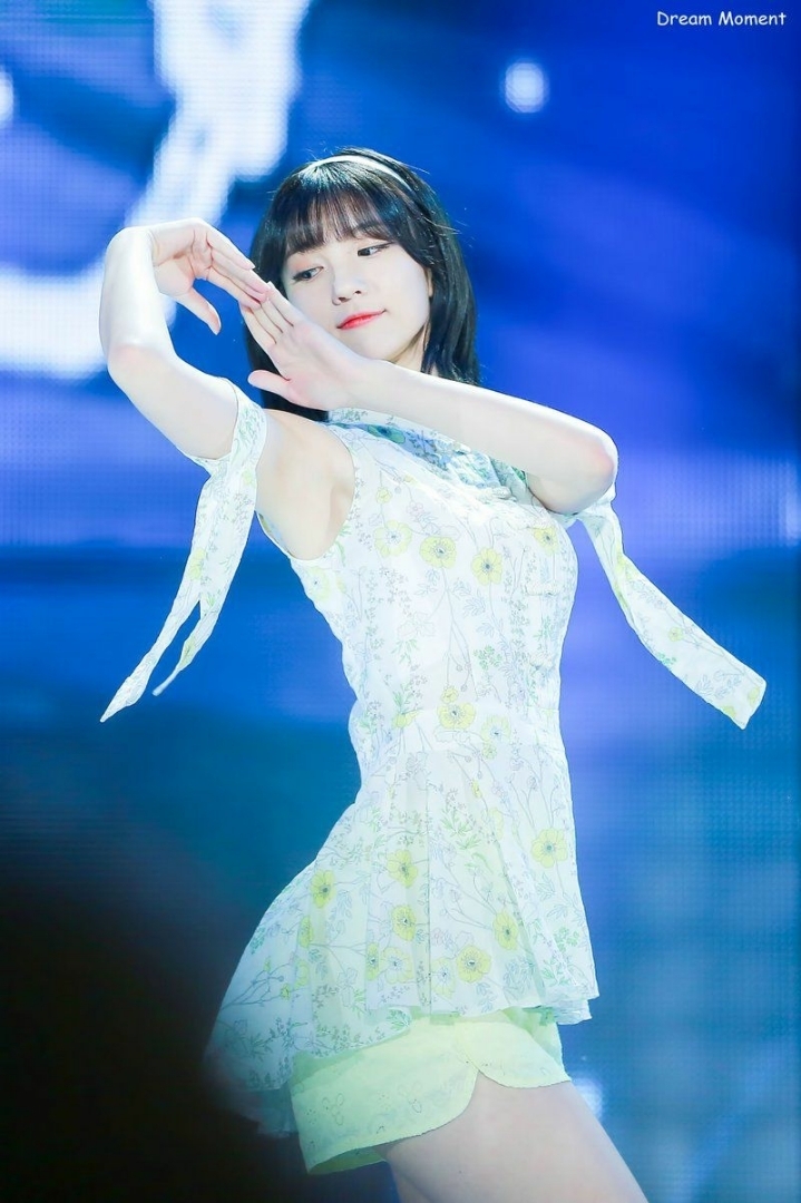 데이비니 이미지