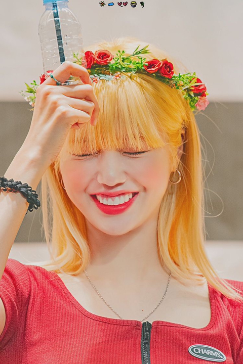 하이하이 이미지