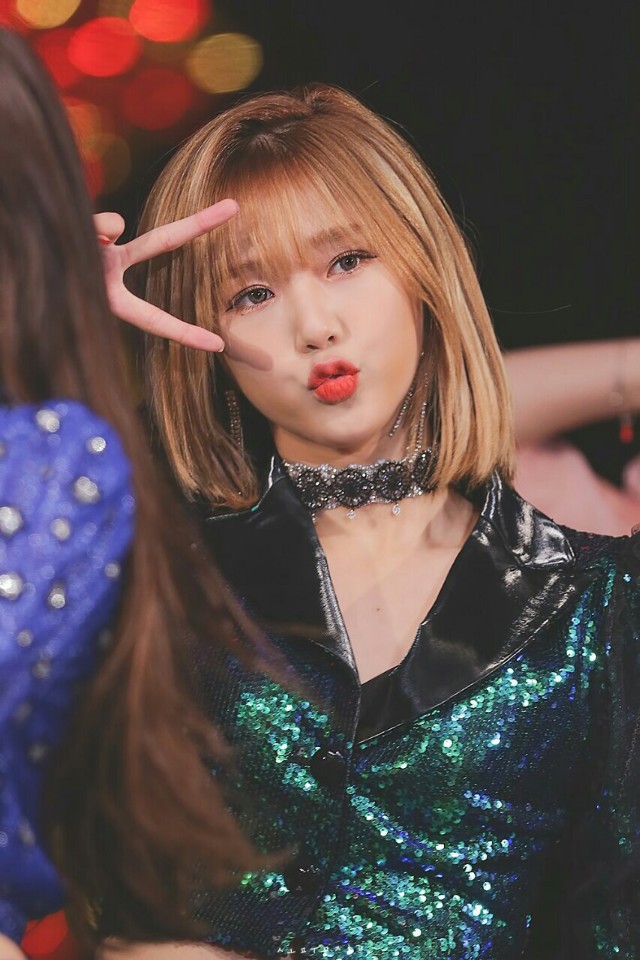 미미시루 이미지