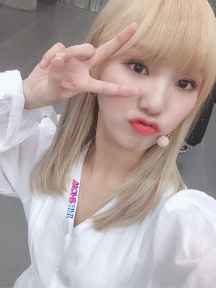 미미시루 이미지