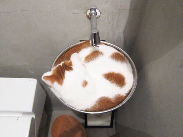 밈밈 이미지