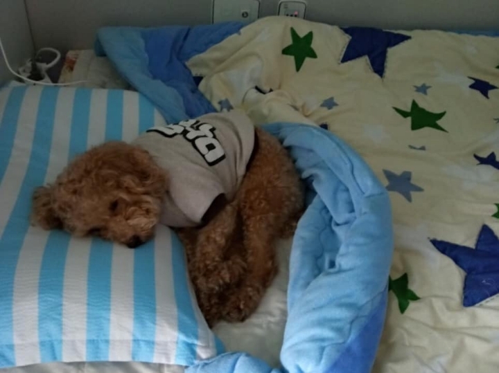 커피여왕 이미지
