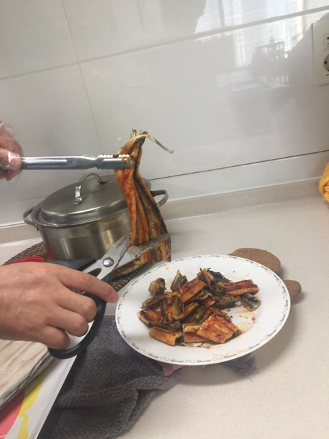 진동돌장어 이미지