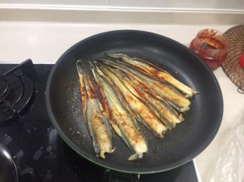 진동돌장어 이미지