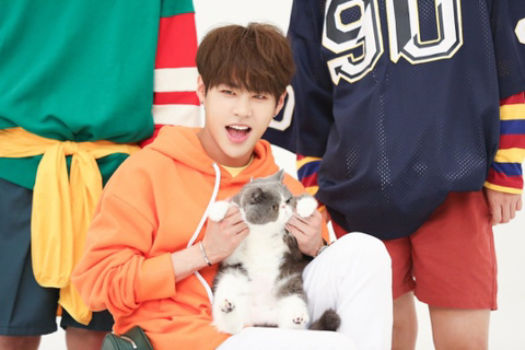 태호전자 이미지