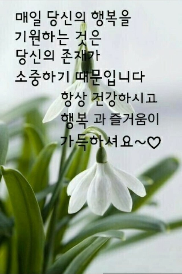 서인 이미지