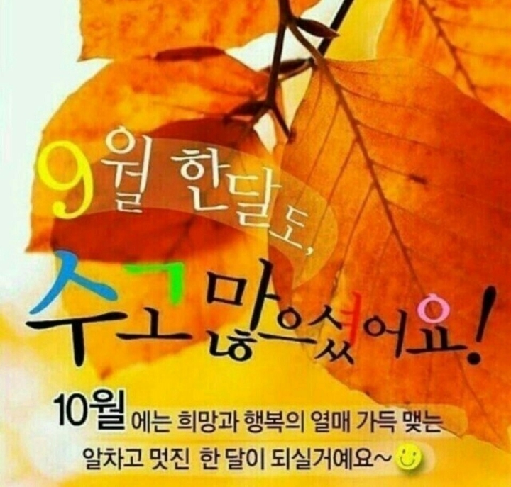 홍파 이미지
