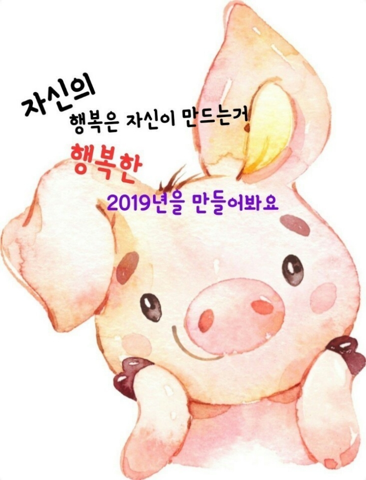 소메랑 이미지