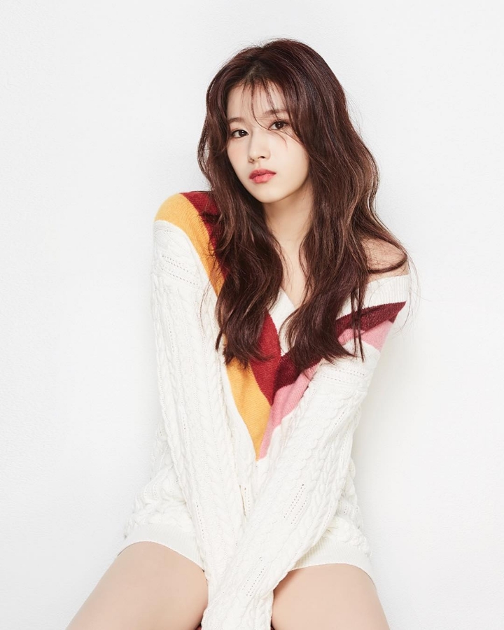 보이컷 이미지