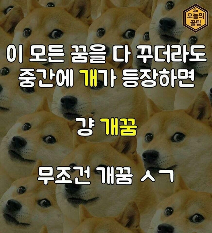 복 이미지