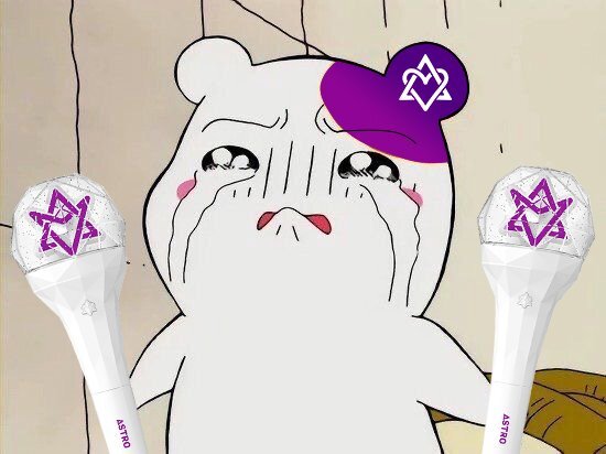 아로하 이미지