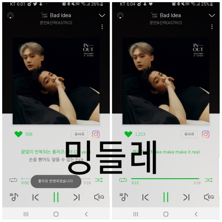 밍들레 이미지