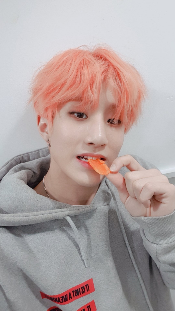 로하 이미지