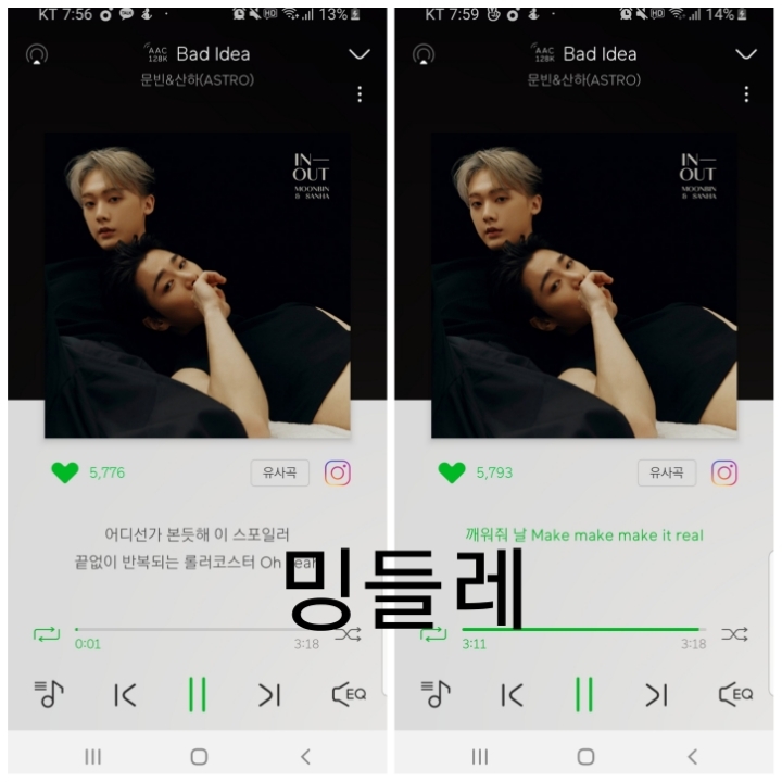 밍들레 이미지