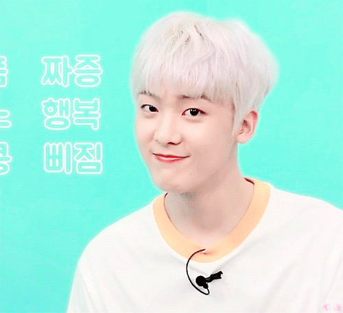 아로미자 이미지