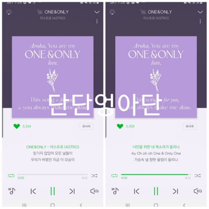 멜롬 이미지