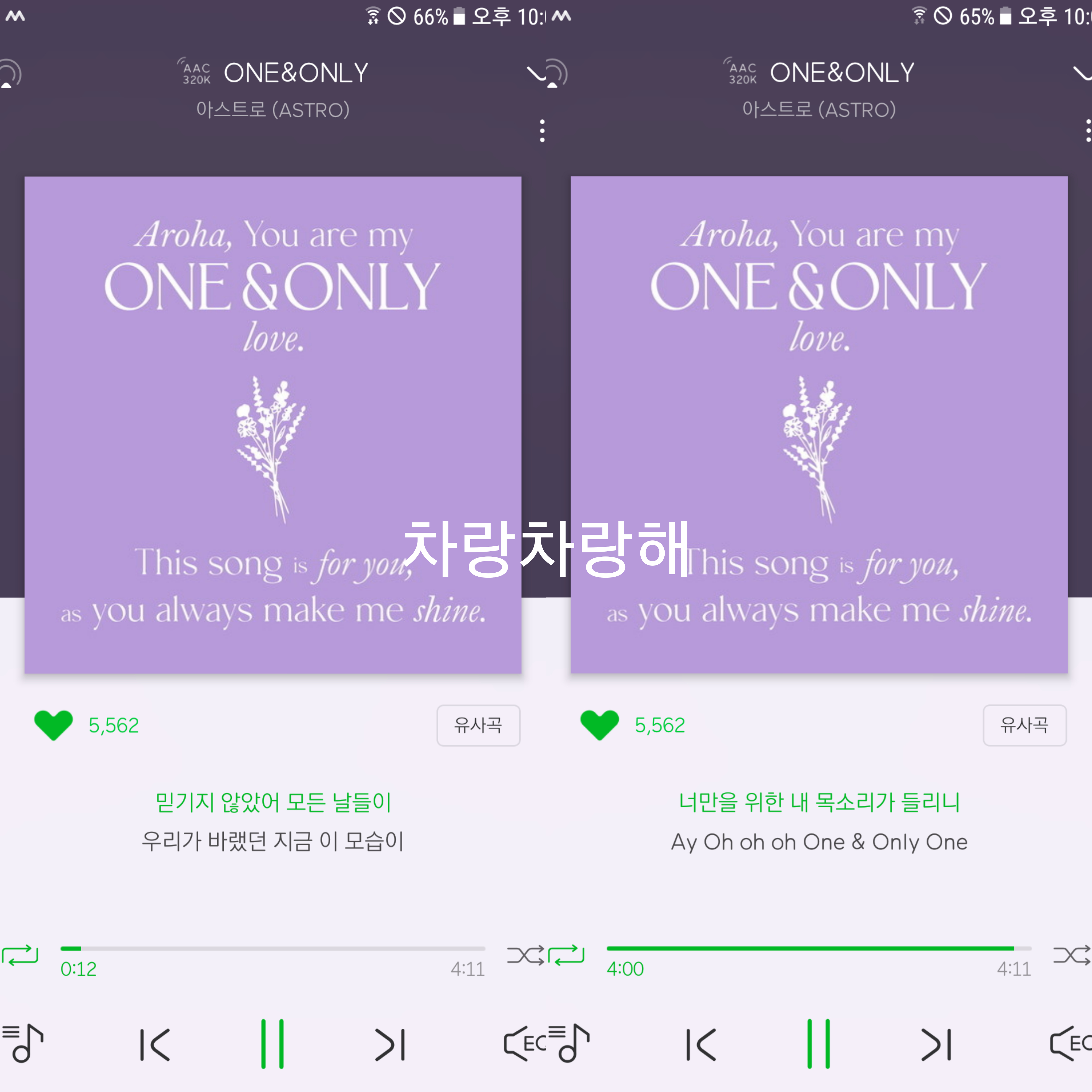 차랑차랑 이미지