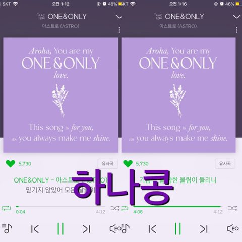 하나콩 이미지