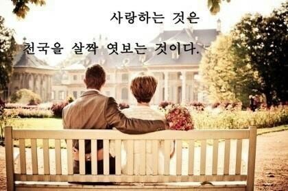 어니언스 이미지