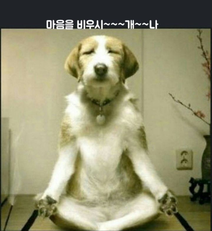 놀자 이미지