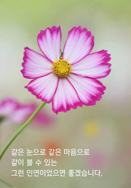 오늘도 행복하자 이미지