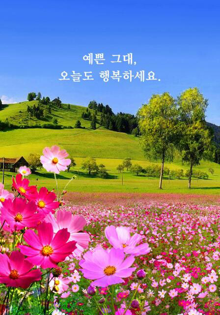 오늘도 행복하자 이미지