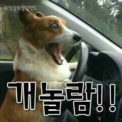같이 이미지