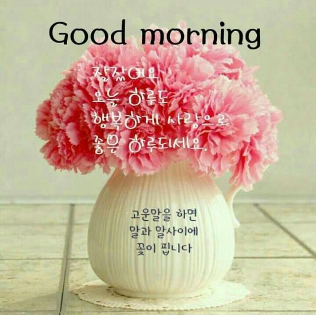 화요일 이미지