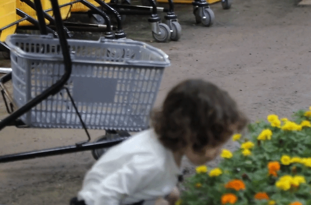 [슈돌] 시무룩한 건후를 힘나게 하는 파추호 방법ㅋㅋㅋ.jpgif | 인스티즈