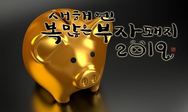 황금돈돼지 이미지