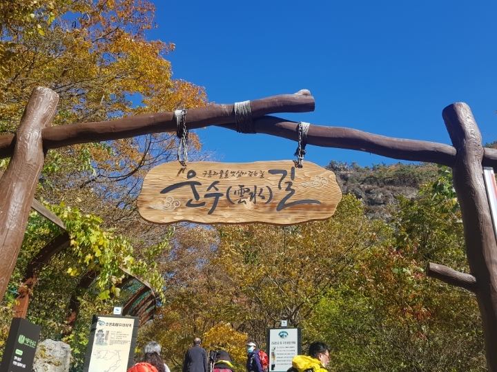 담넘어 이미지