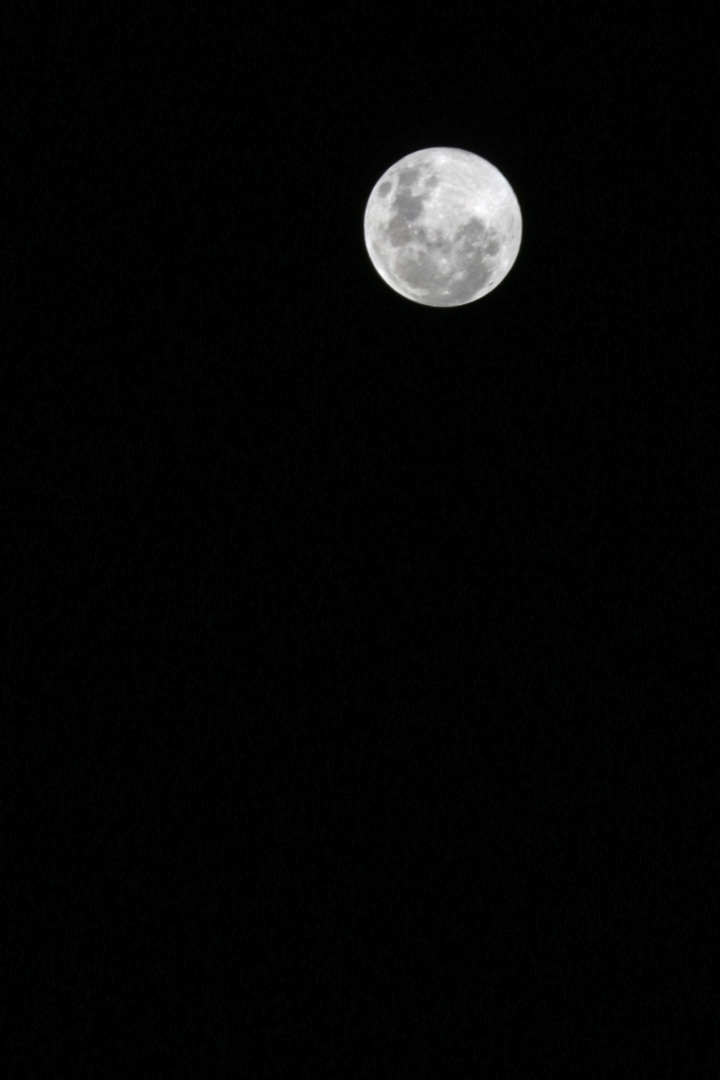 moon 이미지