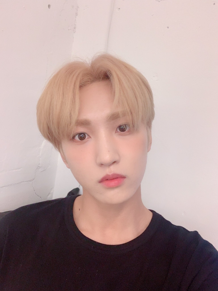 선율 이미지