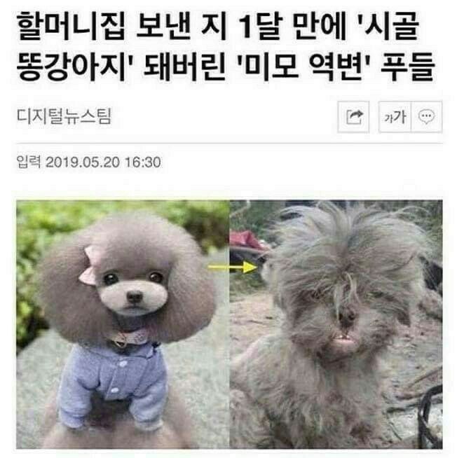 할머니집 이미지
