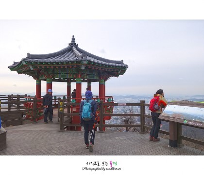 장미커피호프 이미지