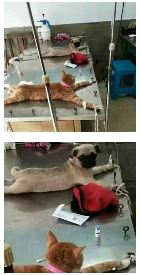 나두 이미지