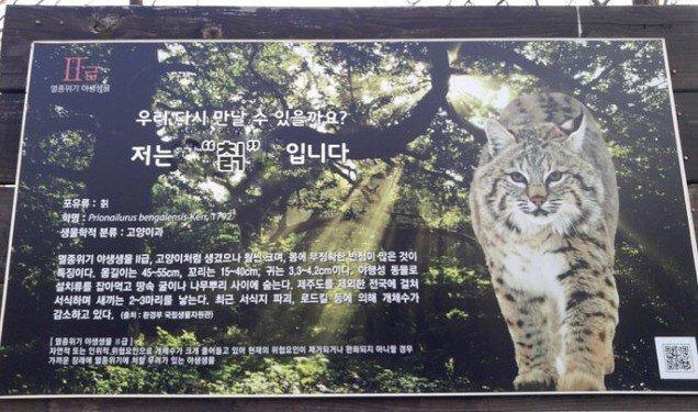 모르나 이미지